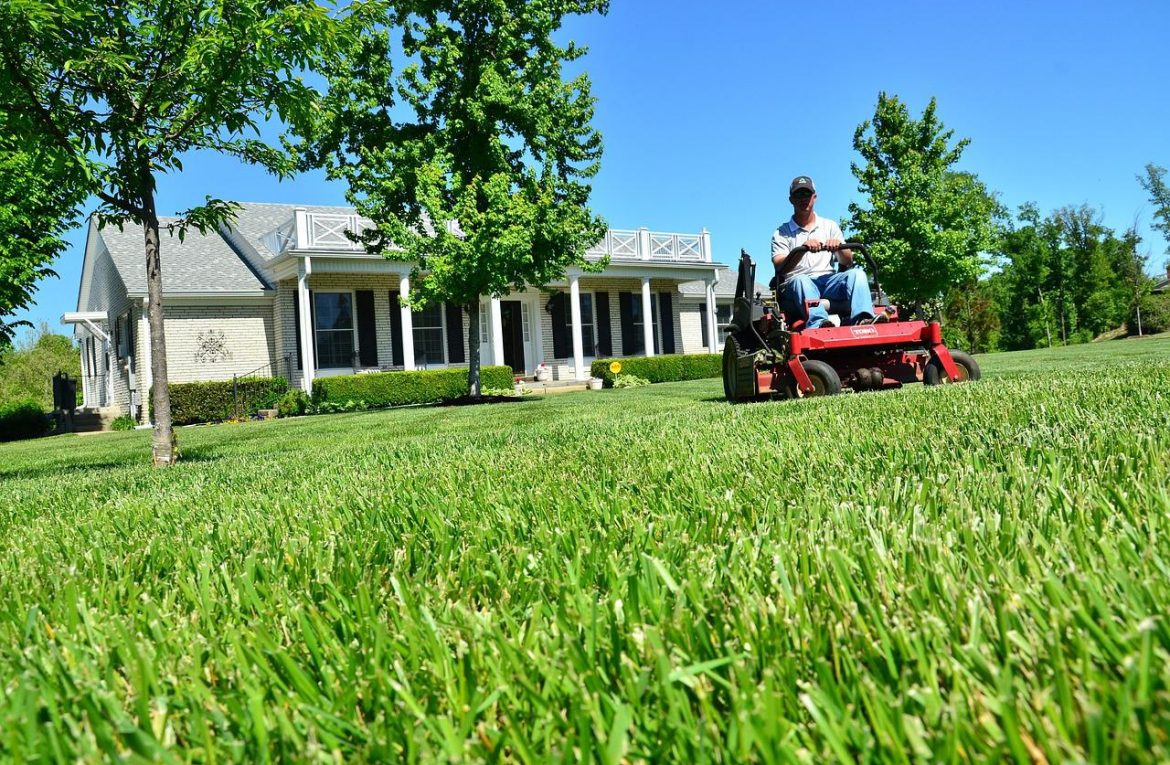 Essential Lawn Care Services to Look for in a Lawn Service Provider