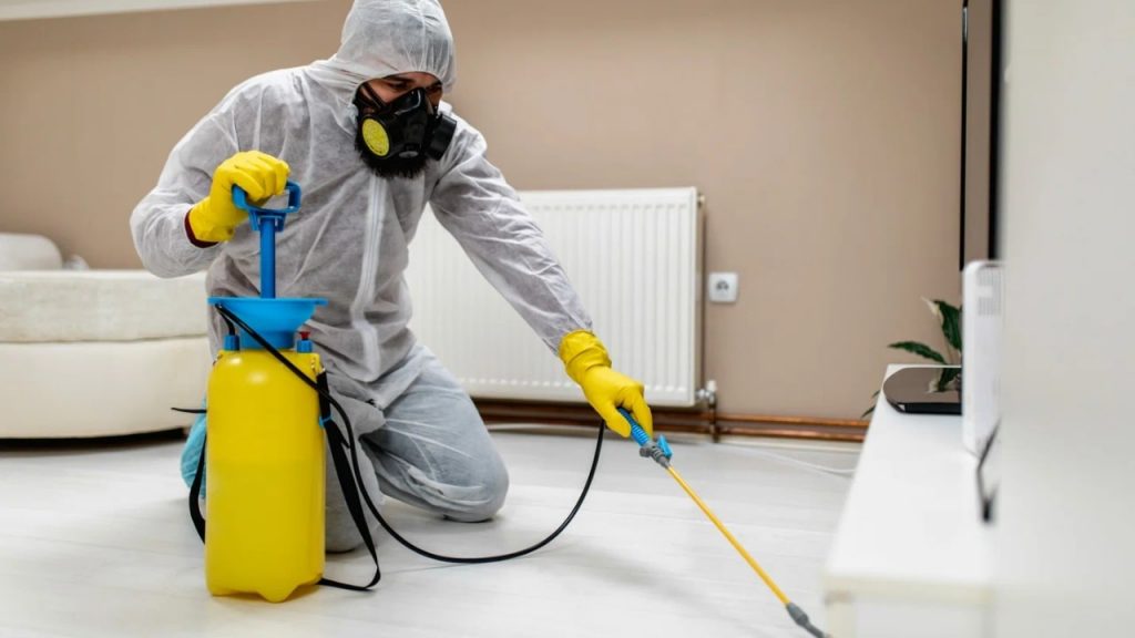 Pest Control Services Canada : Keeping Your Home Pest-Free