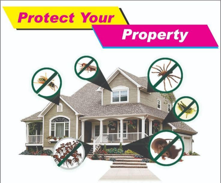pest control Edmonton