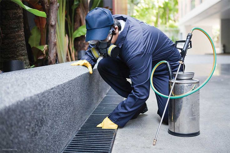 pest control services canada