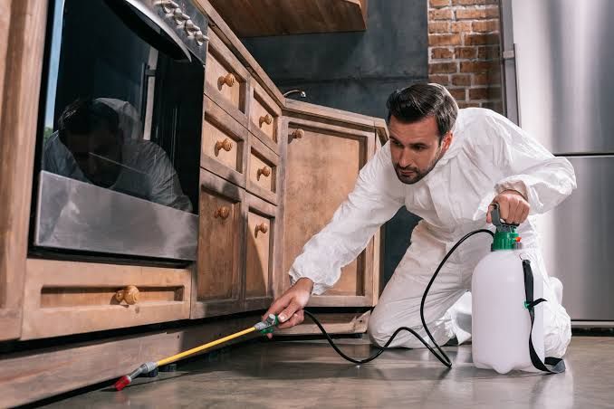 pest control Winnipeg