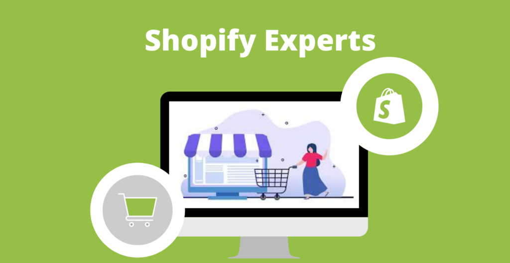 Professional Shopify Expert